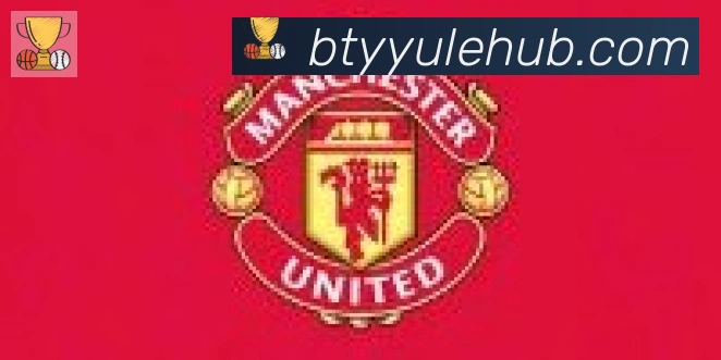 B体育官网合作伙伴